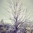 Shemar_Welch